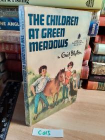 THE CHILDREN AT GREEN MEADOWS  《绿草地上的孩子们》   插图本