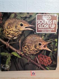 LP 黑胶唱片 BIRD SOUNDS IN CLOSE-UP