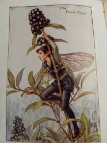 FLOWER FAIRIES OF THE AUTUMN  儿童读物  含精美彩图   POEMS AND PICTURES BY CICELY MARY BARKER