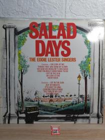 LP 黑胶唱片   SALAD DAYS