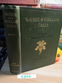 WAYSIDE AND WOODLAND TREES   含24副彩图  151副黑白插图   烫金封面