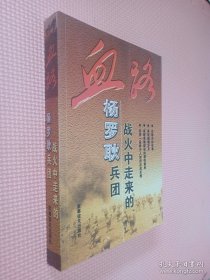 血路 : 战火中走来的杨罗耿兵团