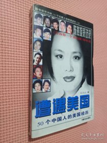 遭遇美国――陈燕妮采访录:50个中国人的美国经历 上.