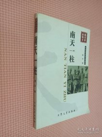 中国现代军事文学丛书·国内革命战争：南天一柱