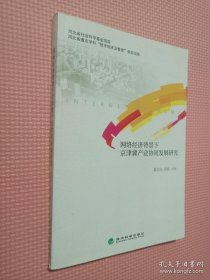 网络经济背景下京津冀产业协同发展研究