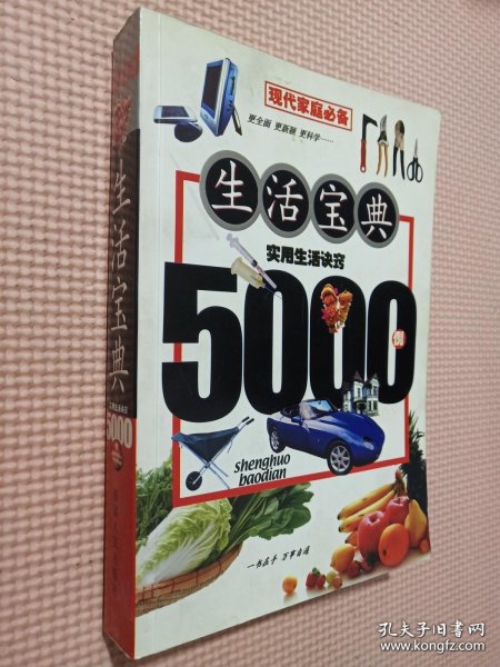 生活宝典:实用生活诀窍5000例