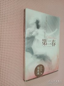 昨夜长风：梁凤仪财经小说系列