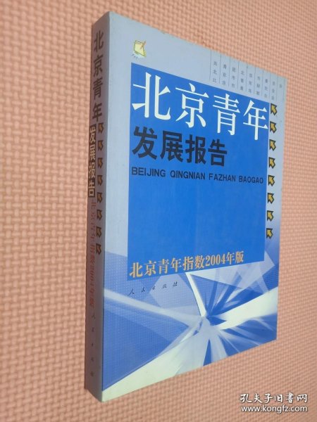 北京青年发展报告—北京青年指数2004年版