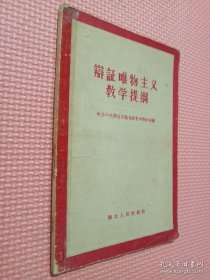 辩证唯物主义教学提纲.