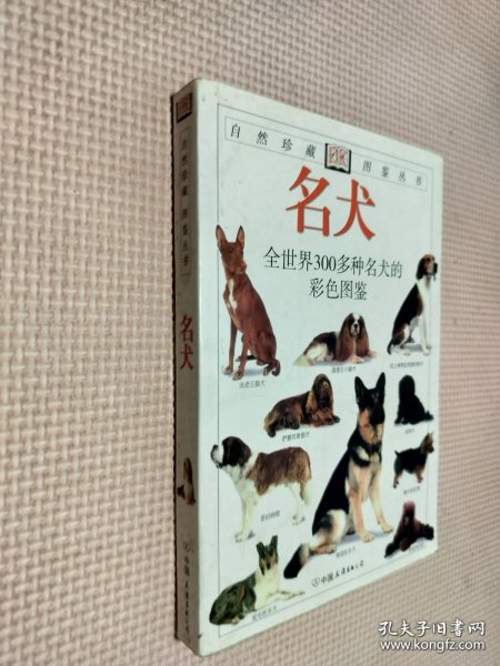 新编中国哲学史    封面及侧页有大头笔图画情况