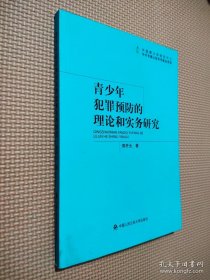 青少年犯罪预防的理论和实务研究