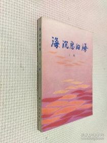 海沉思的海