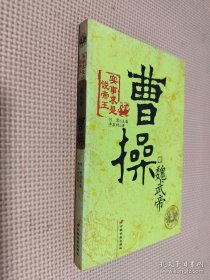 魏武帝曹操-實(shí)事求是說帝王