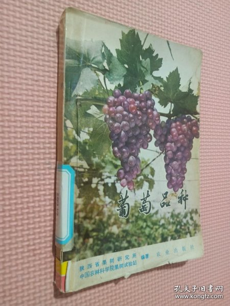葡萄品种