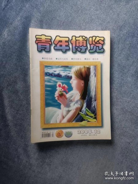 《青年博览》（2006年12月上）