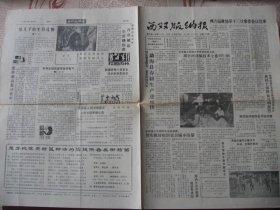 (稀少)云南版纳州《西双版纳报》90年6月19日出版，85品