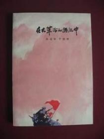 特价（老版红色经典作品）在大革命的洪流中（库存未阅正版保真99品）