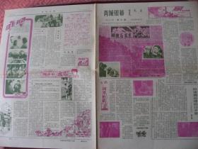 （稀少）内蒙古呼和浩特市《青城银幕》（1981年第7期）库存95品