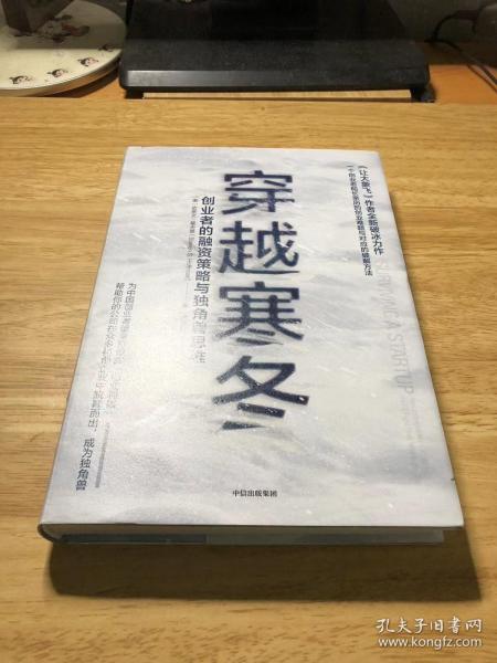 穿越寒冬:《让大象飞》作者的全新破冰力作