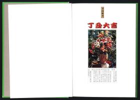 1997年邮票精装年册无香港回归金箔型张｛山东省集邮公司发行广东天一装帧｝