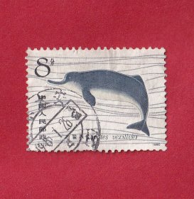 T57白鱀豚（1）8分悠然自得.1980.12.15