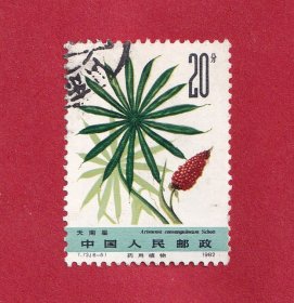T72药用植物（第二组）（6-5）20分，天南星，1982.5.20