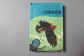 2011年《一只猎雕的遭遇》      沈石溪  著/浙江少年儿童出版社