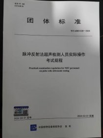 T/CASEI 028-2024 脉冲反射法超声检测人员实际操作考试规程