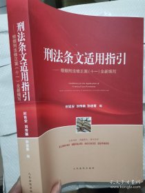 刑法条文适用指引——根据刑法修正案（十一）全新编写