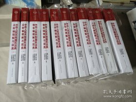 中华人民共和国民法典理解与适用丛书（全11册）
