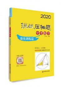 2020挑战压轴题·中考数学—强化训练篇