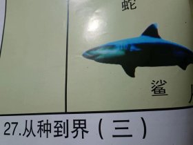 （从种到界3）中学生物教学参考挂图