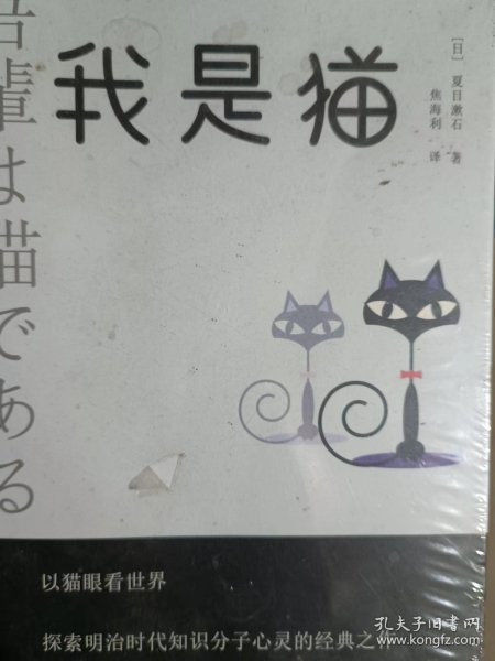 我是猫