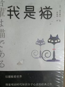 我是猫