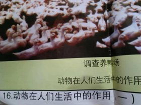 （动物在人们生活中的作用1）中学生物教学参考挂图