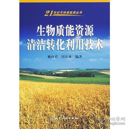 生物质能资源清洁转化利用技术/21世纪可持续能源丛书