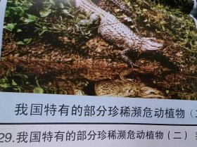 （我国特有的部分珍稀濒危动植物2）中学生物教学参考挂图