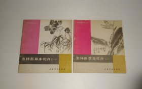 怎样画草本花卉一二  1993年