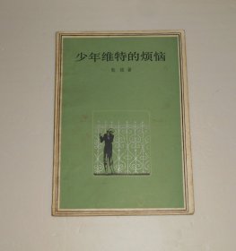 少年维特的烦恼  1981年