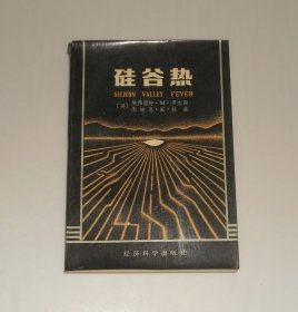 硅谷热    1985年