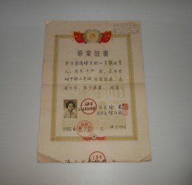 1956年上海市上海女子中学毕业证书(初中) 尺寸:38.8*26.7厘米