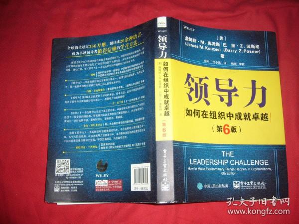 领导力：如何在组织中成就卓越（第6版）