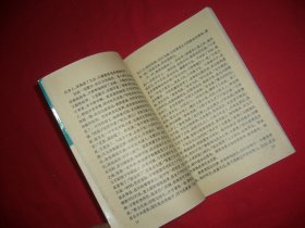 飞花咏（北京师范大学图书馆馆藏才子佳人小说丛刊）// 包正版【购满100元免运费】