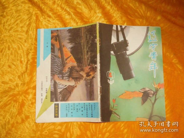 半月刊：辽宁青年（1988年 第4期） // 【购满100元免运费】
