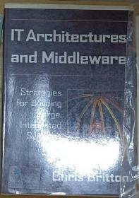 英文原版 IT Architectures and Middleware by Chris Britton 著