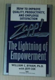 英文原版 The Lightning of Empowerment by William C. Byham 著