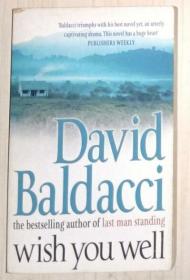 英文原版 Wish You Well by David Baldacci 著