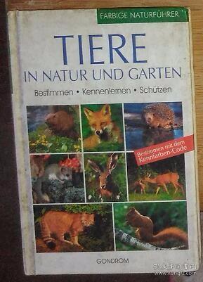 德文原版 Tiere in Natur und Garten