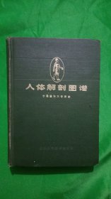 人体解剖图谱(精装32开)(普及本)