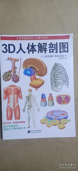 3D人体解剖图